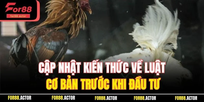 Cập nhật kiến thức về luật cơ bản trước khi đầu tư