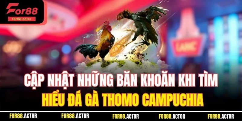 Cập nhật những băn khoăn khi tìm hiểu đá gà Thomo Campuchia