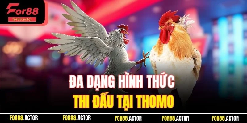 Đa dạng hình thức thi đấu tại Thomo