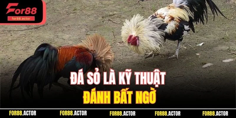Đá sỏ là kỹ thuật đánh bất ngờ