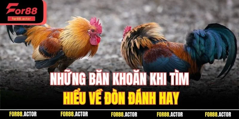 Những băn khoăn khi tìm hiểu về đòn đánh hay