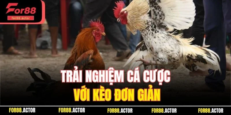 Trải nghiệm cá cược với kèo đơn giản